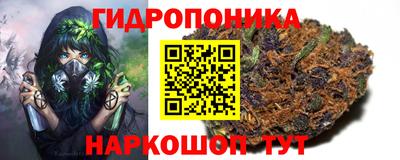 крисы Брянск